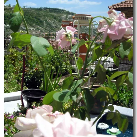 Maria 3* バルチク