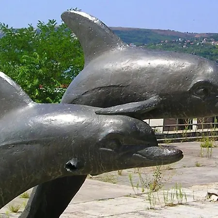 Maria ゲストハウス